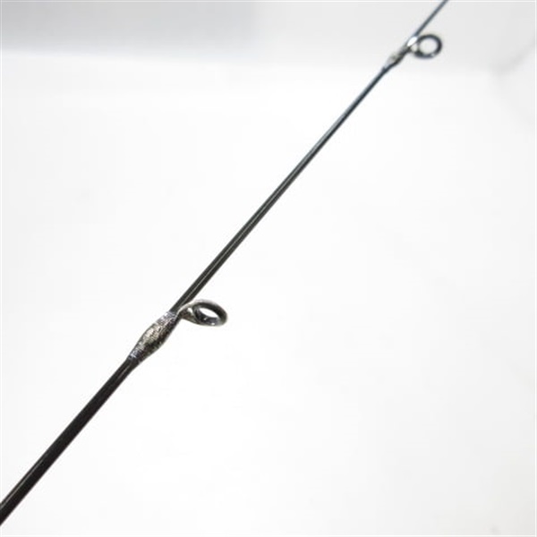 ２１ポイズングロリアス２６１０Ｌ－Ｓ